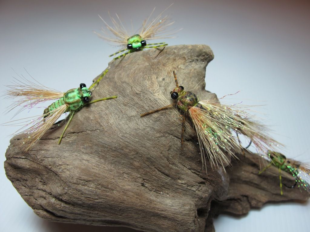 FTF Fly Pattern - dronlee - Cicada X - The Fly Tying Bench - Fly Tying